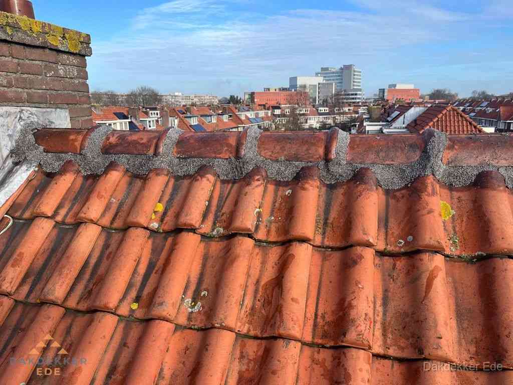 Ede Daken Renoveren Ede Daken Renoveren