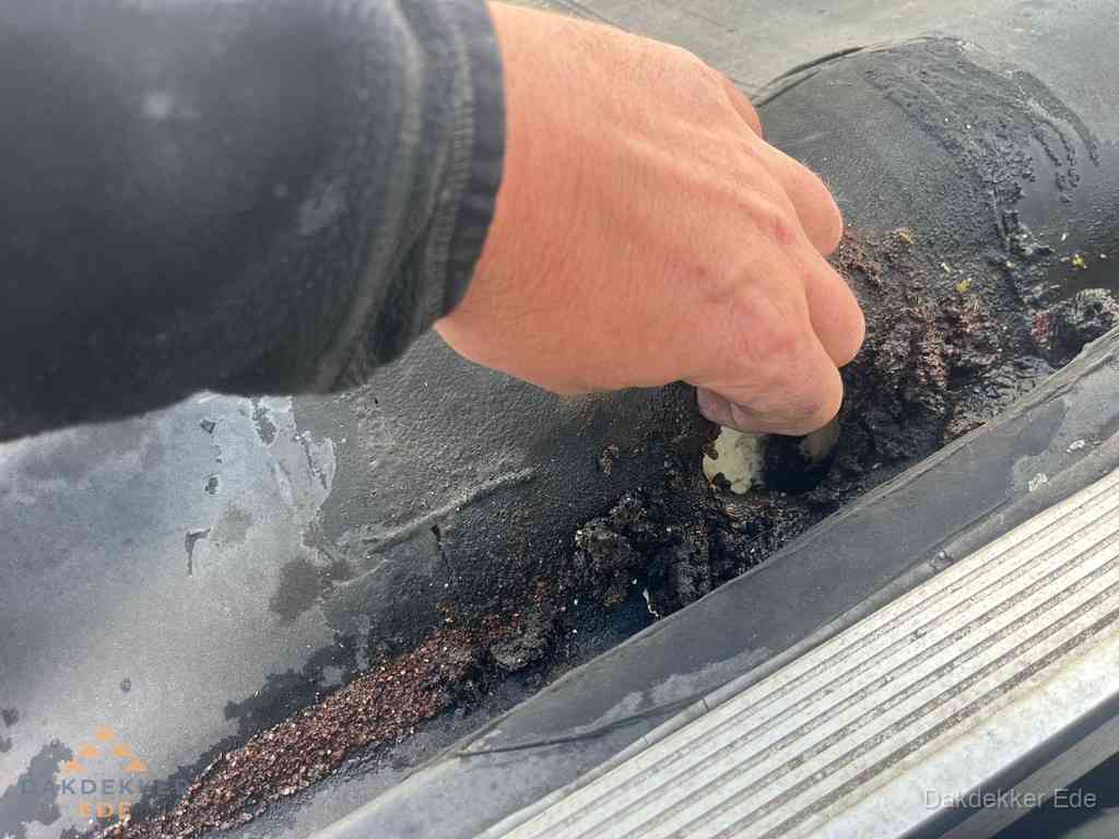 Plat Dak Reparatie Ede Plat Dak Reparatie Ede